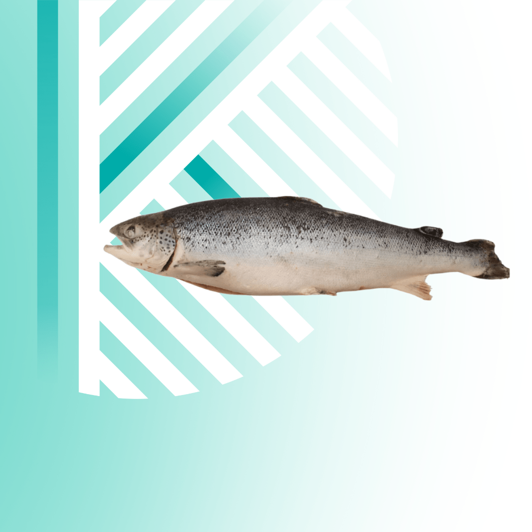 Текст абзацу (Допис у Facebook (альбомна орієнтація)) - 2025-10-10T135547.933