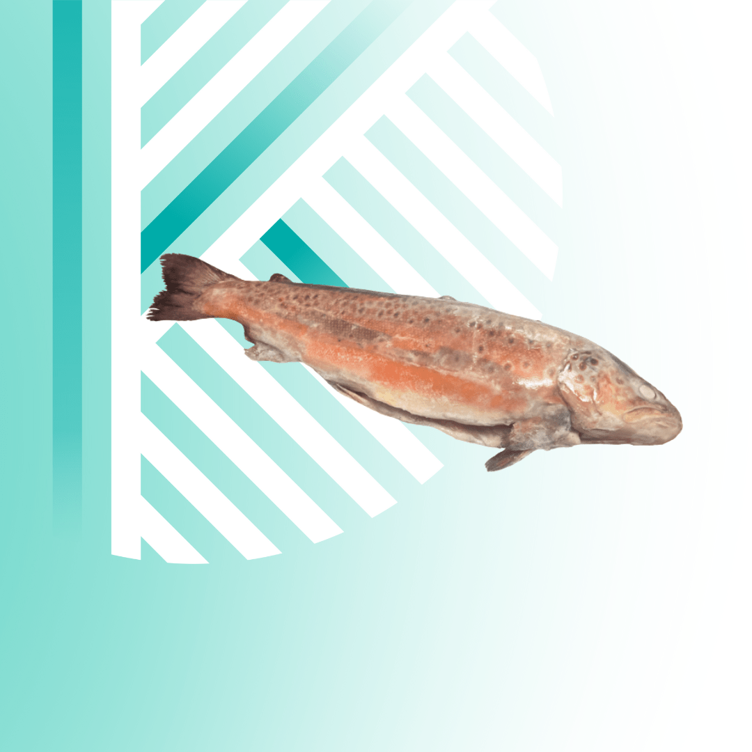 Текст абзацу (Допис у Facebook (альбомна орієнтація)) - 2025-10-07T123849.234