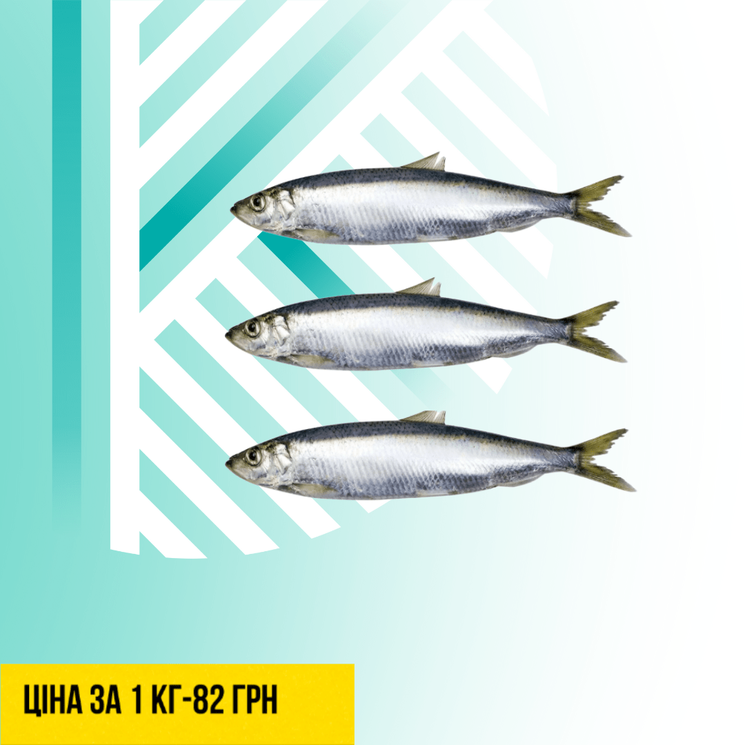 Текст абзацу (Допис у Facebook (альбомна орієнтація)) - 2025-10-02T145224.673