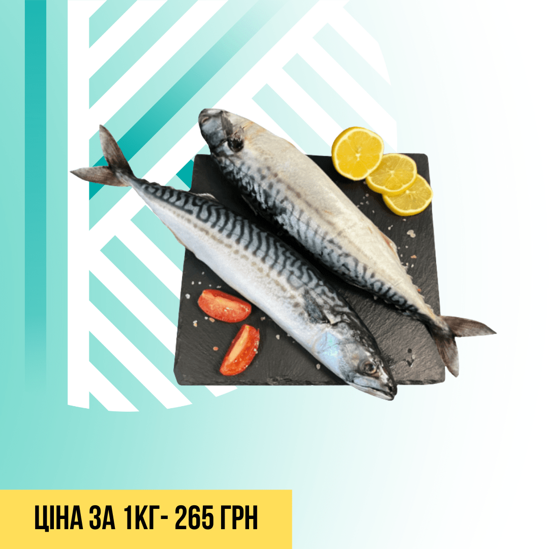 Текст абзацу (Допис у Facebook (альбомна орієнтація)) - 2025-10-13T152523.451
