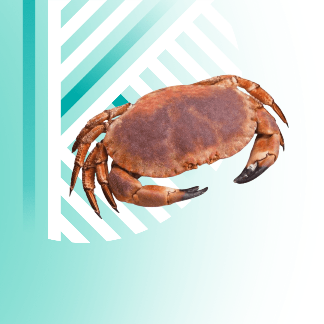 Текст абзацу (Допис у Facebook (альбомна орієнтація)) - 2025-10-01T115736.979