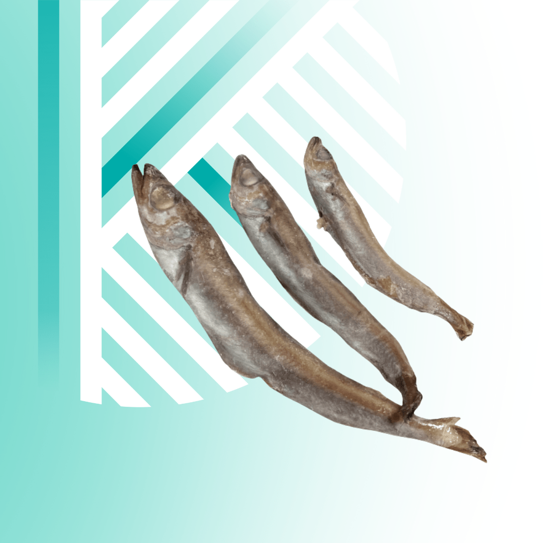 Текст абзацу (Допис у Facebook (альбомна орієнтація)) - 2025-09-26T142024.953