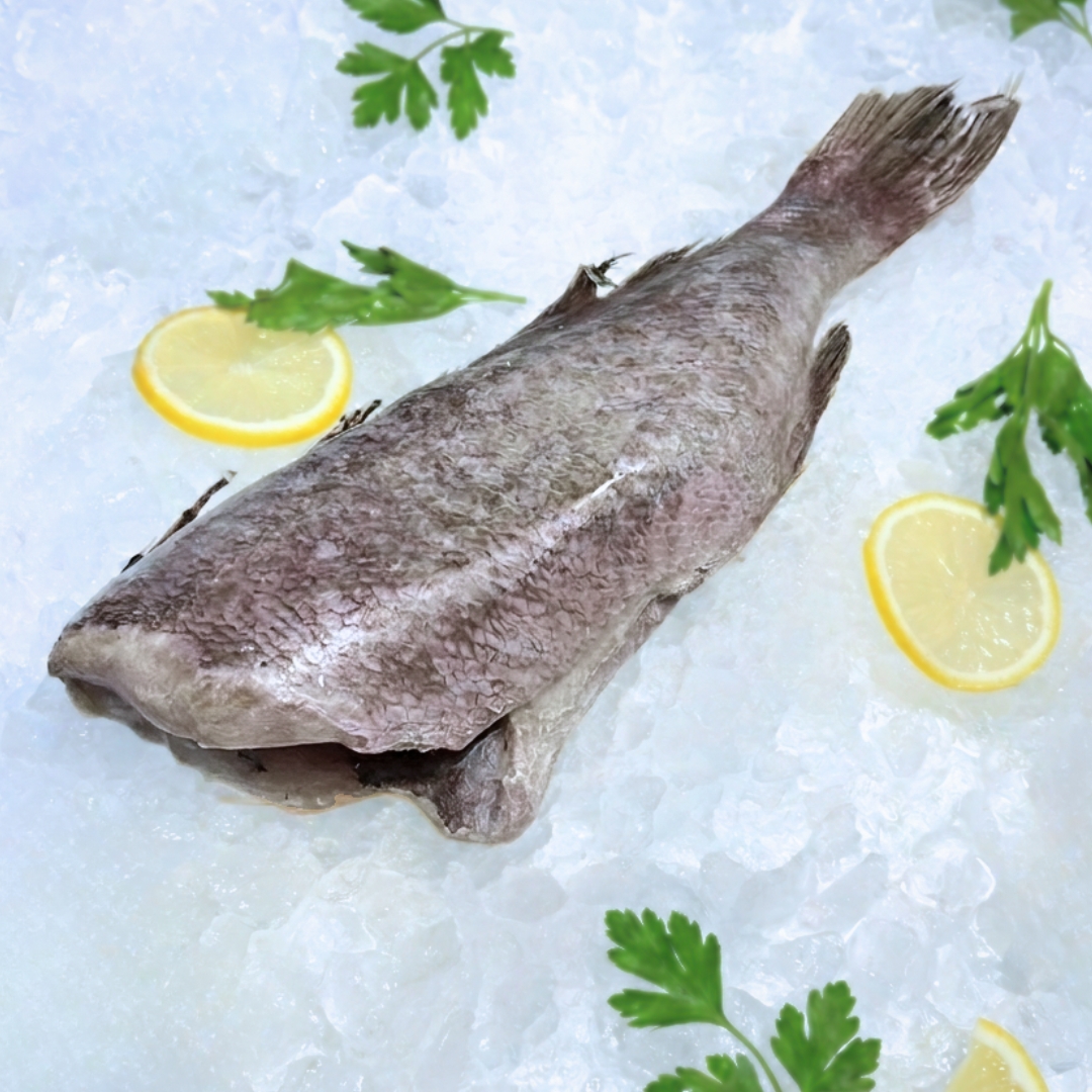 Окунь чорний морський