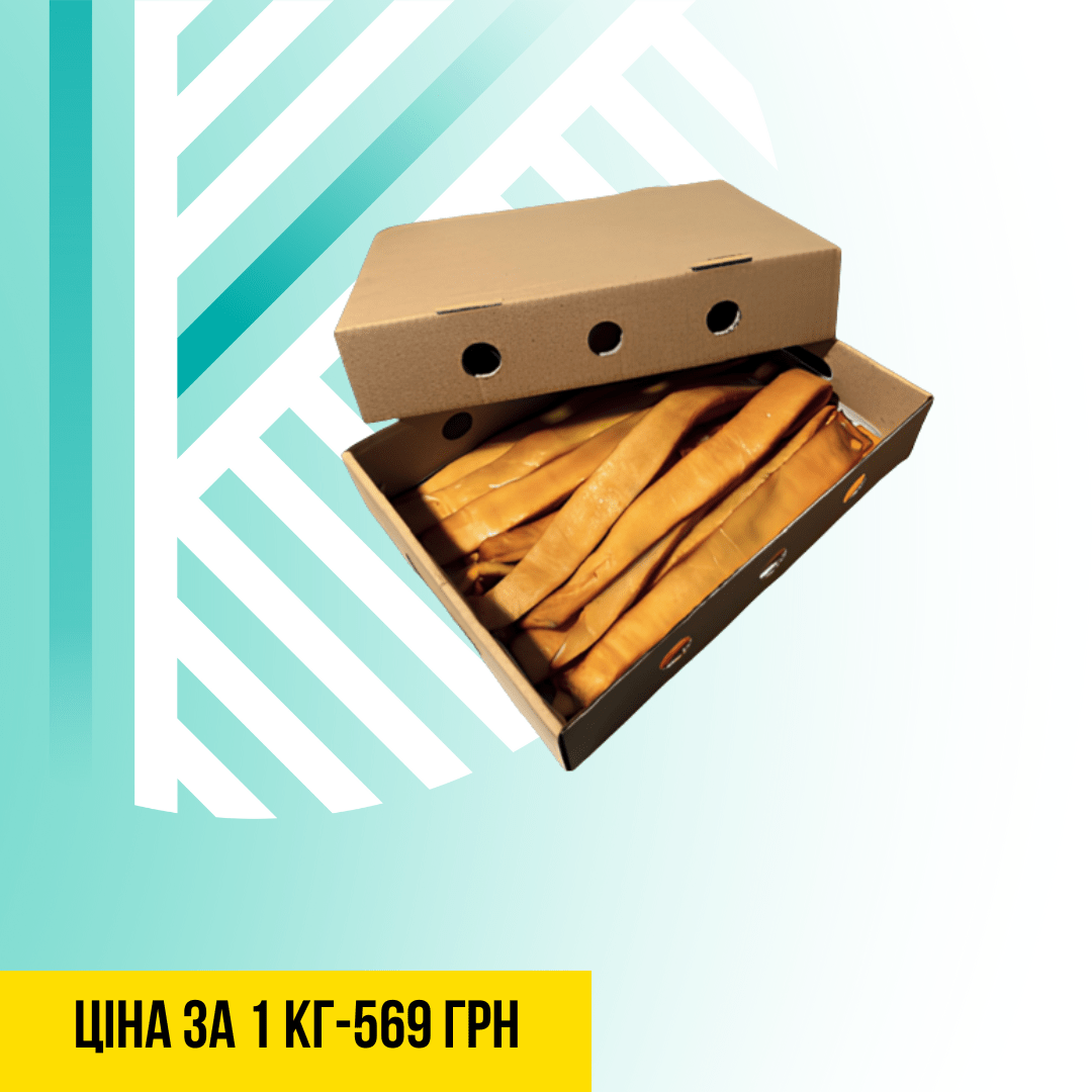 Текст абзацу (Допис у Facebook (альбомна орієнтація)) - 2025-11-10T143141.151