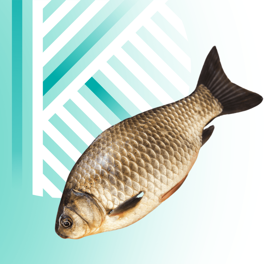 Текст абзацу (Допис у Facebook (альбомна орієнтація)) - 2025-11-25T130447.158