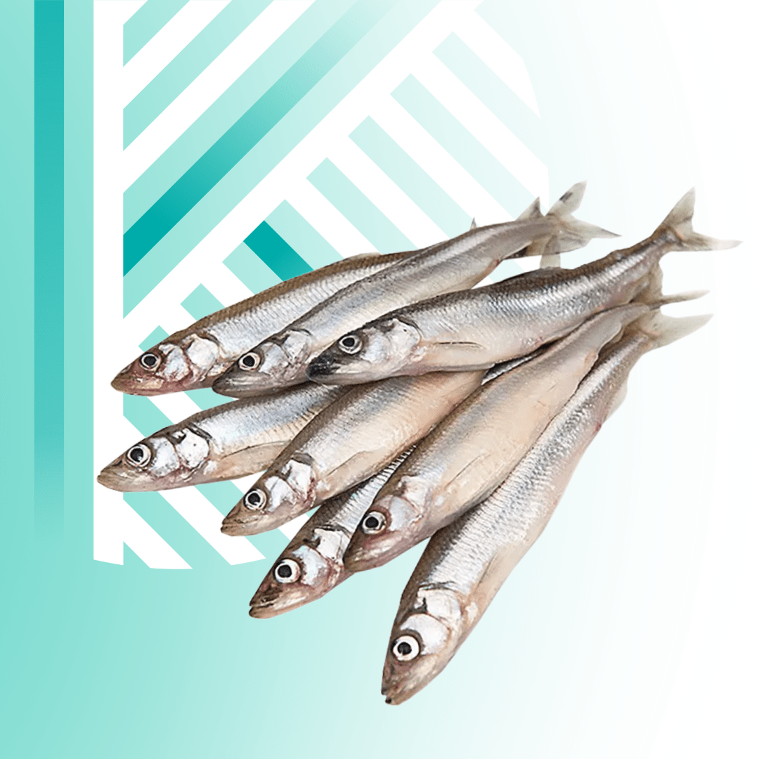 Текст абзацу (Допис у Facebook (альбомна орієнтація)) - 2025-11-25T131358.178